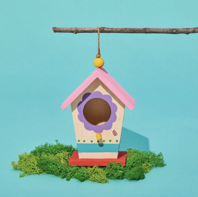 Mud Puddle Society™ 4-Piece Bird House Garden Art Kit – DIY Paint & Decor Set