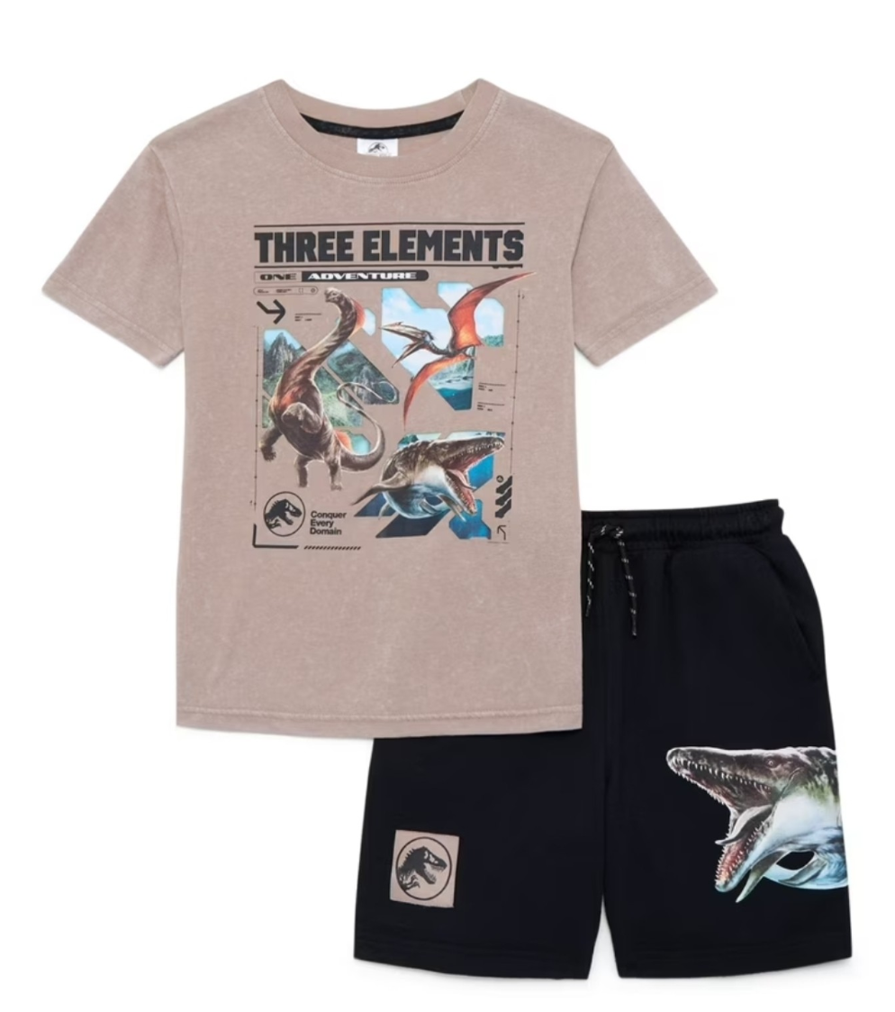 Boys Dinosaur Graphic Tee & Shorts Set