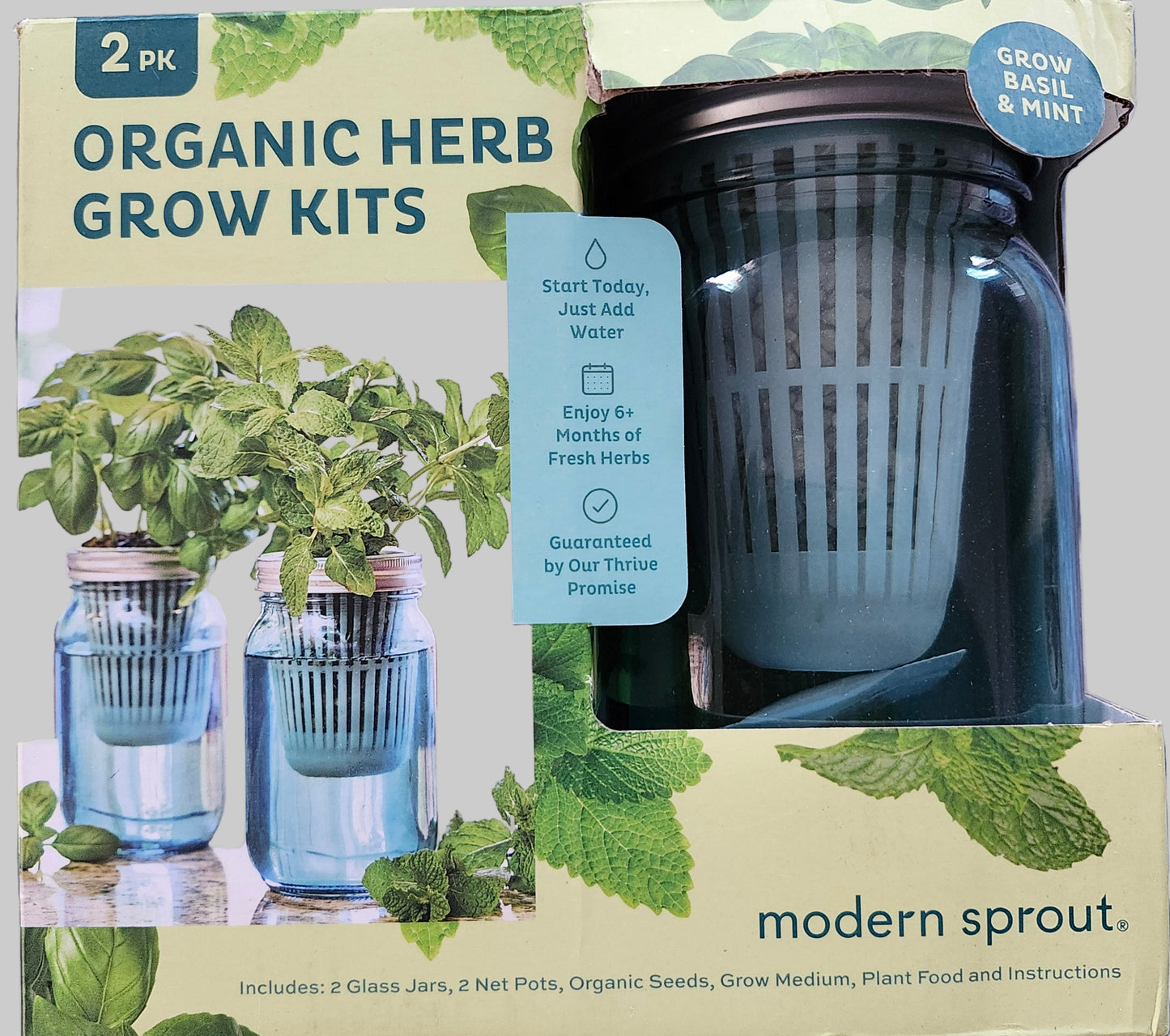 🌿 Modern Sprout Organic Herb Grow Kit – 2 Pack (Mint & Basil)